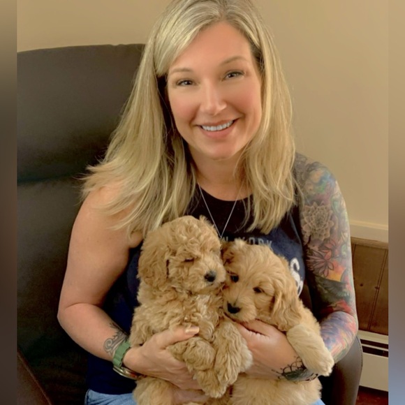 Meet your Posher, Myste - Picture 1 of 1